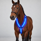 LED-ridset för häst – Syns efter mörkret 🐎✨