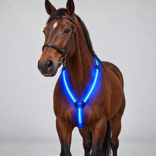 LED-ridset för häst – Syns efter mörkret 🐎✨