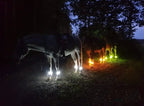 🐎 LED-benremmar för hästar – 4-pack | Säkerhetslampor för nattridning som ser ut som uppladdningsbara ✨