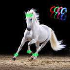 🐎 LED-benremmar för hästar – 4-pack | Säkerhetslampor för nattridning som ser ut som uppladdningsbara ✨